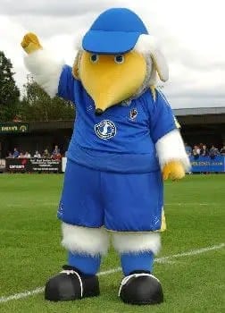 mascotte afc